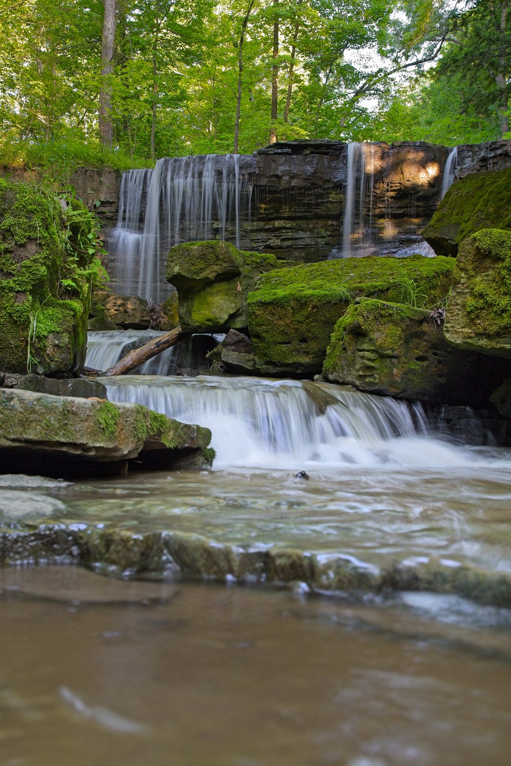 A serene multi-tiered waterfall cascading over layered rock formations blanketed in vibrant green moss, surrounded by a lush dense forest with tall trees, with water flowing down into a calm stream in the foreground.